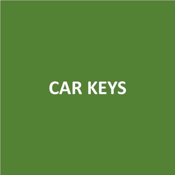 Foto de CAR KEYS - Canje de Puntos