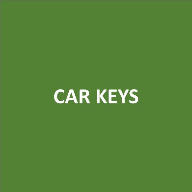 Foto de CAR KEYS - Canje de Puntos