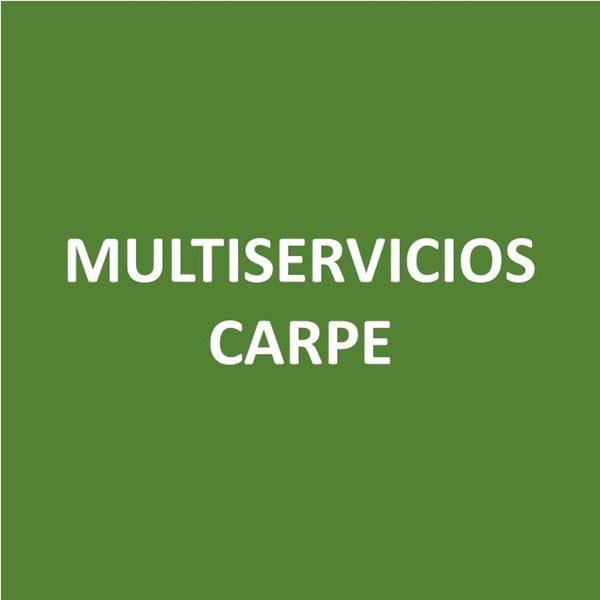 Foto de MULTISERVICIOS CARPE-Canje de Puntos