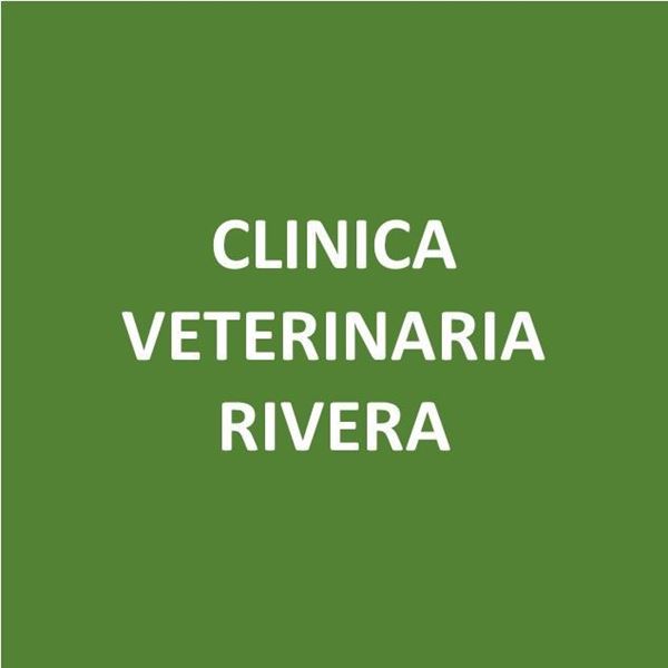 Foto de CLINICA VETERINARIA RIVERA - Canje de Puntos