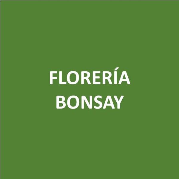 Foto de FLORERIA BONSAY-Canje de Puntos