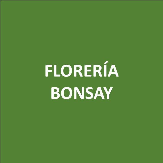 Foto de FLORERIA BONSAY-Canje de Puntos