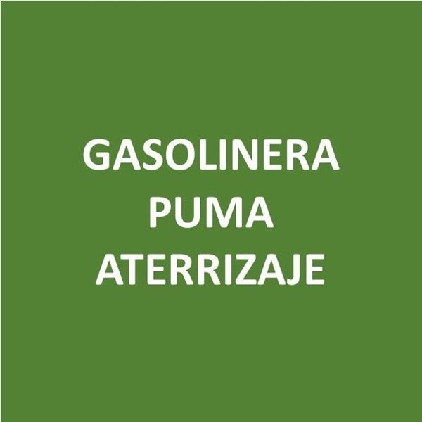 Foto de GASOLINERA PUMA ATERRIZAJE-Canje de Puntos