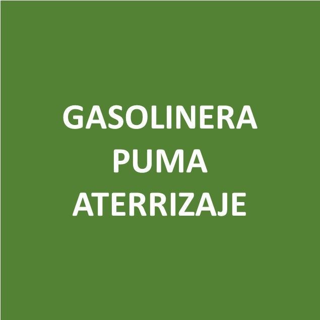 Foto de GASOLINERA PUMA ATERRIZAJE-Canje de Puntos