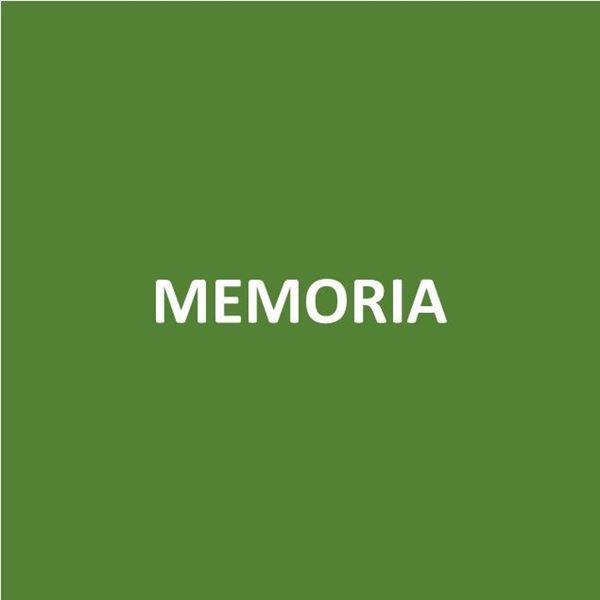 Foto de MEMORIA-Canje de Puntos