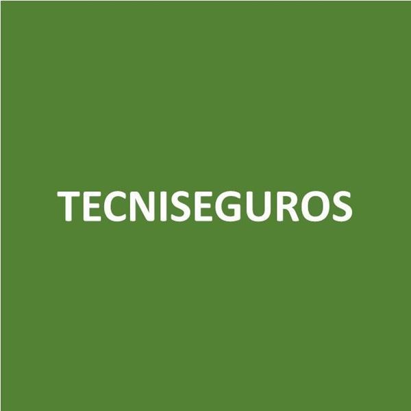 Foto de TECNISEGUROS-Canje de Puntos