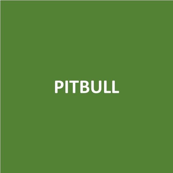 Foto de PITBULL-Canje de Puntos