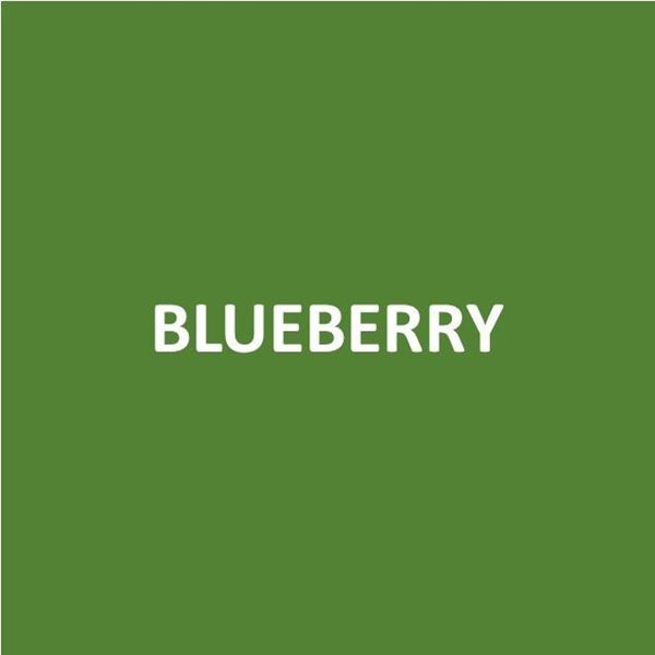 Foto de BLUEBERRY - Canje de Puntos