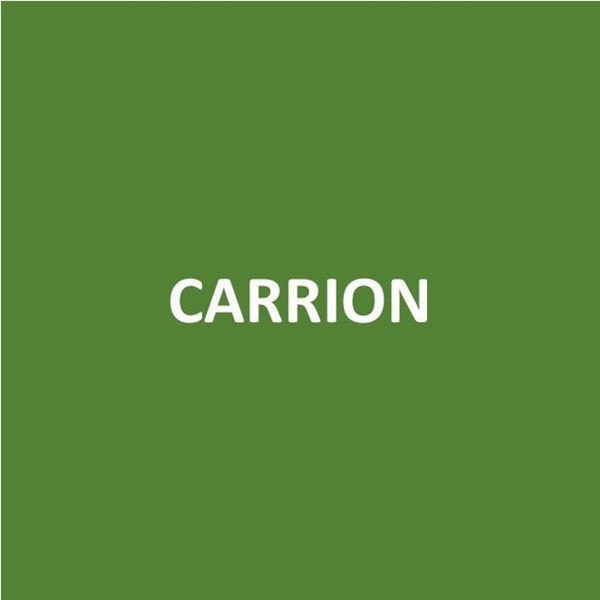 Foto de CARRION-Canje de Puntos