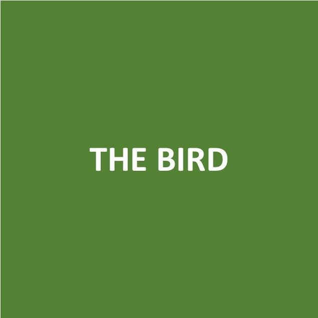 Foto de THE BIRD-Canje de Puntos