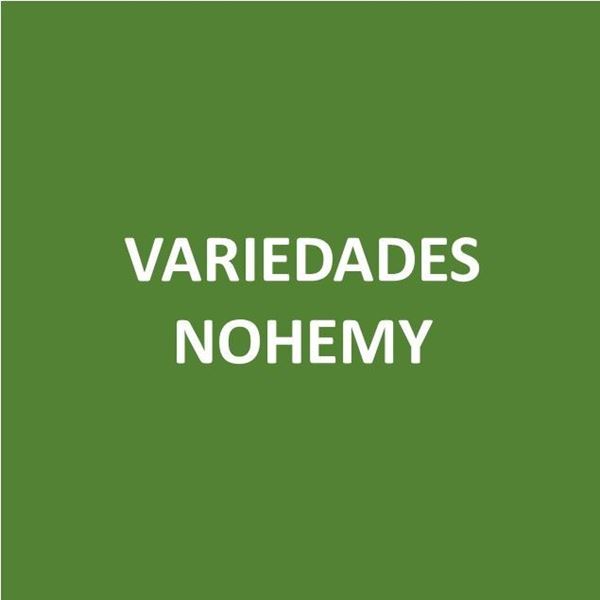 Foto de VARIEDADES NOHEMY-Canje de Puntos