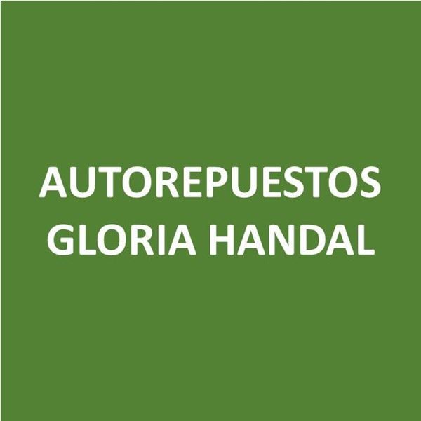 Foto de AUTOREPUESTOS GLORIA HANDAL - Canje de Puntos