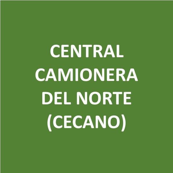 Foto de CENTRAL CAMIONERA DEL NORTE (CECANO)-Canje de Puntos