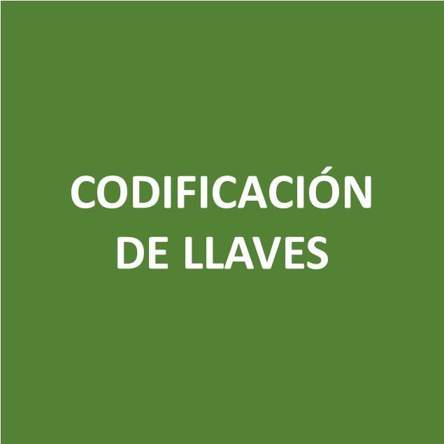 Foto de CODIFICACION DE LLAVES - Canje de Puntos