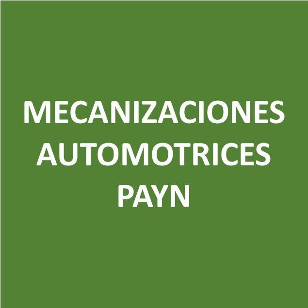 Foto de MECANIZACIONES AUTOMOTRICES PAYN-Canje de Puntos