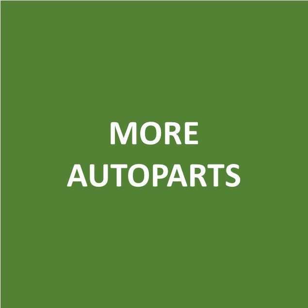 Foto de MORE AUTOPARTS-Canje de Puntos