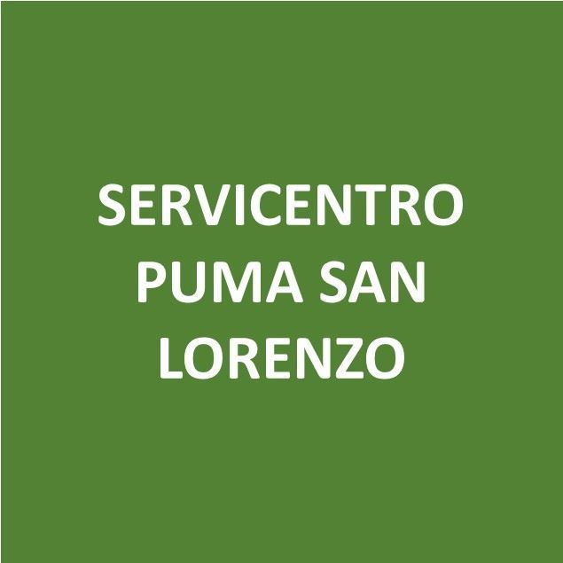 Foto de SERVICENTRO PUMA SAN LORENZO-Canje de Puntos