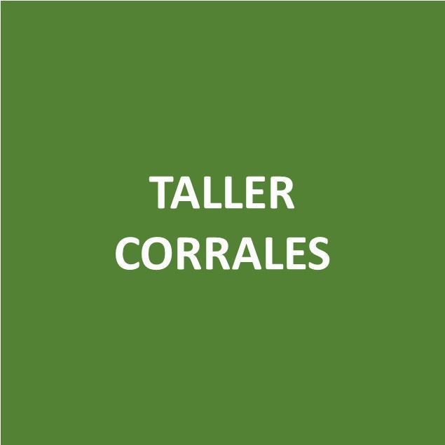 Foto de TALLER CORRALES-Canje de Puntos