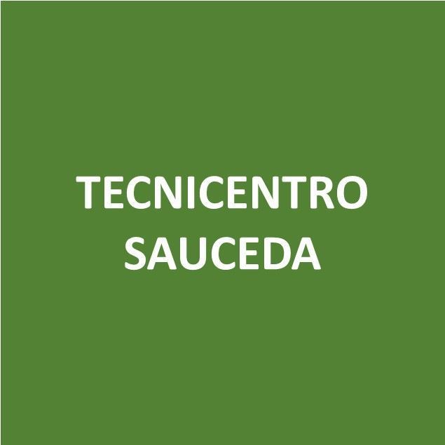 Foto de TECNICENTRO SAUCEDA-Canje de Puntos