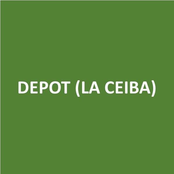 Foto de DEPOT (LA CEIBA)-Canje de Puntos