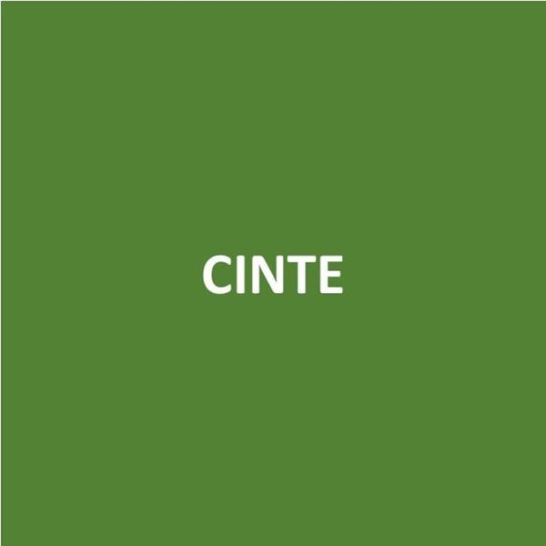 Foto de CINTE - Canje de Puntos