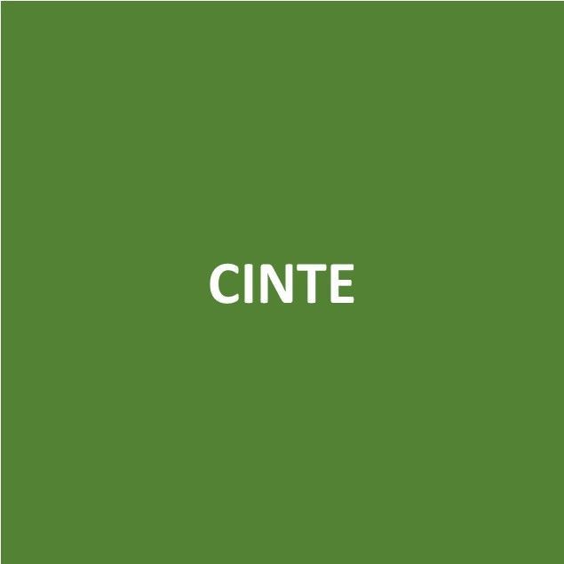 Foto de CINTE - Canje de Puntos