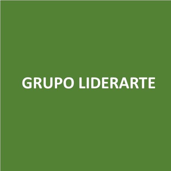 Foto de GRUPO LIDERARTE-Canje de Puntos